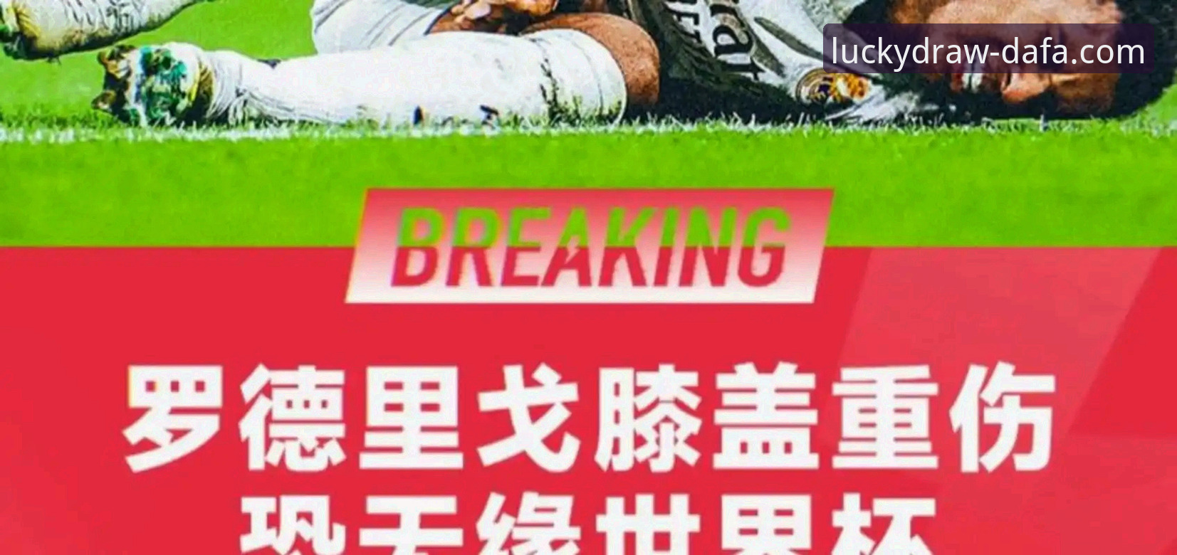 阿根廷世界杯前景分析指南：从帕尼切利重伤看战术变数与信息获取